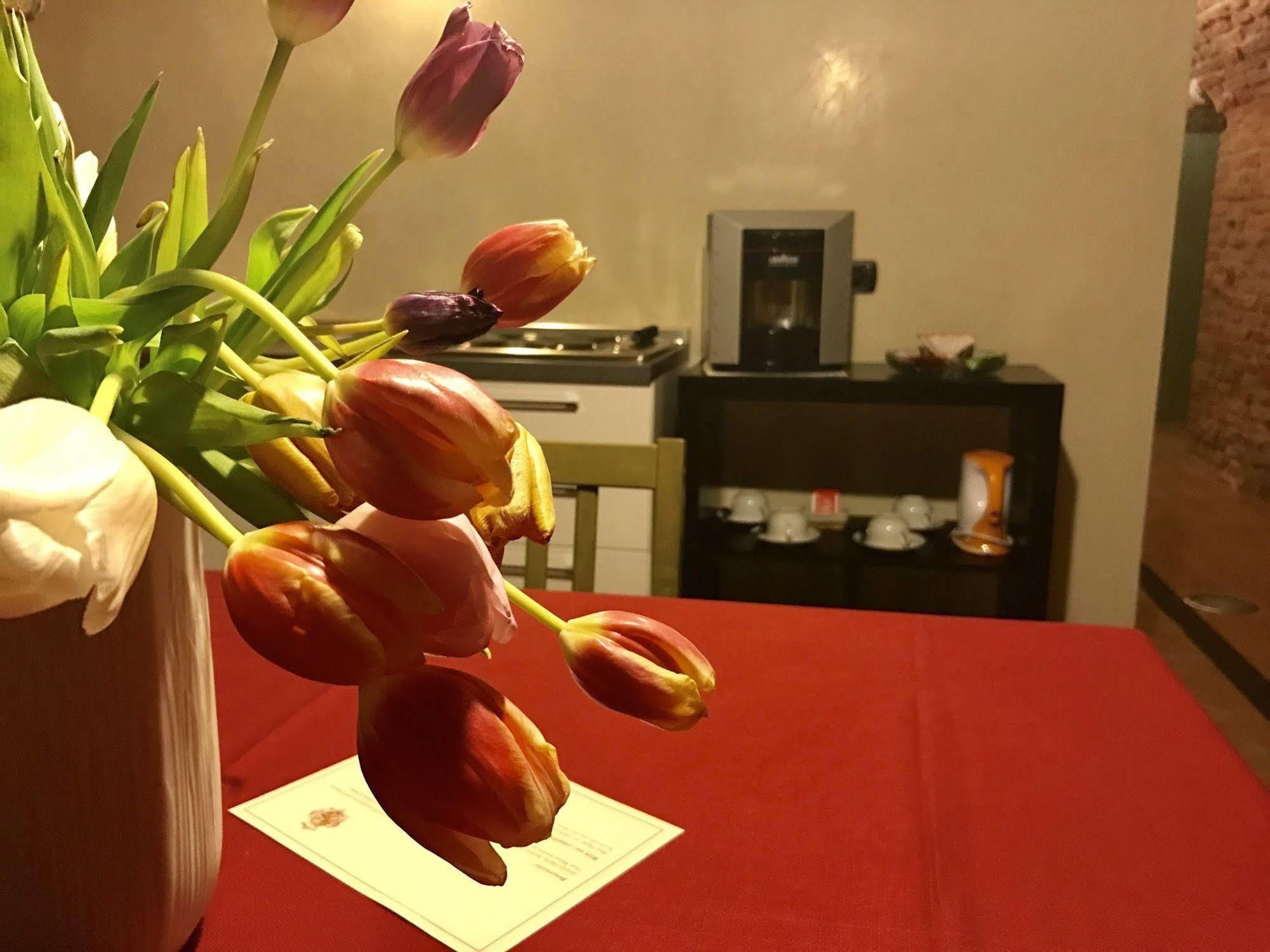 瓦伦蒂贡扎加博物馆酒店 曼托瓦 外观 照片